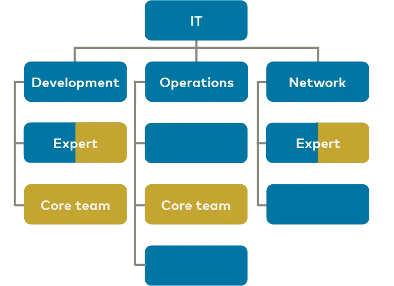Roles and organizational structure of the CoE