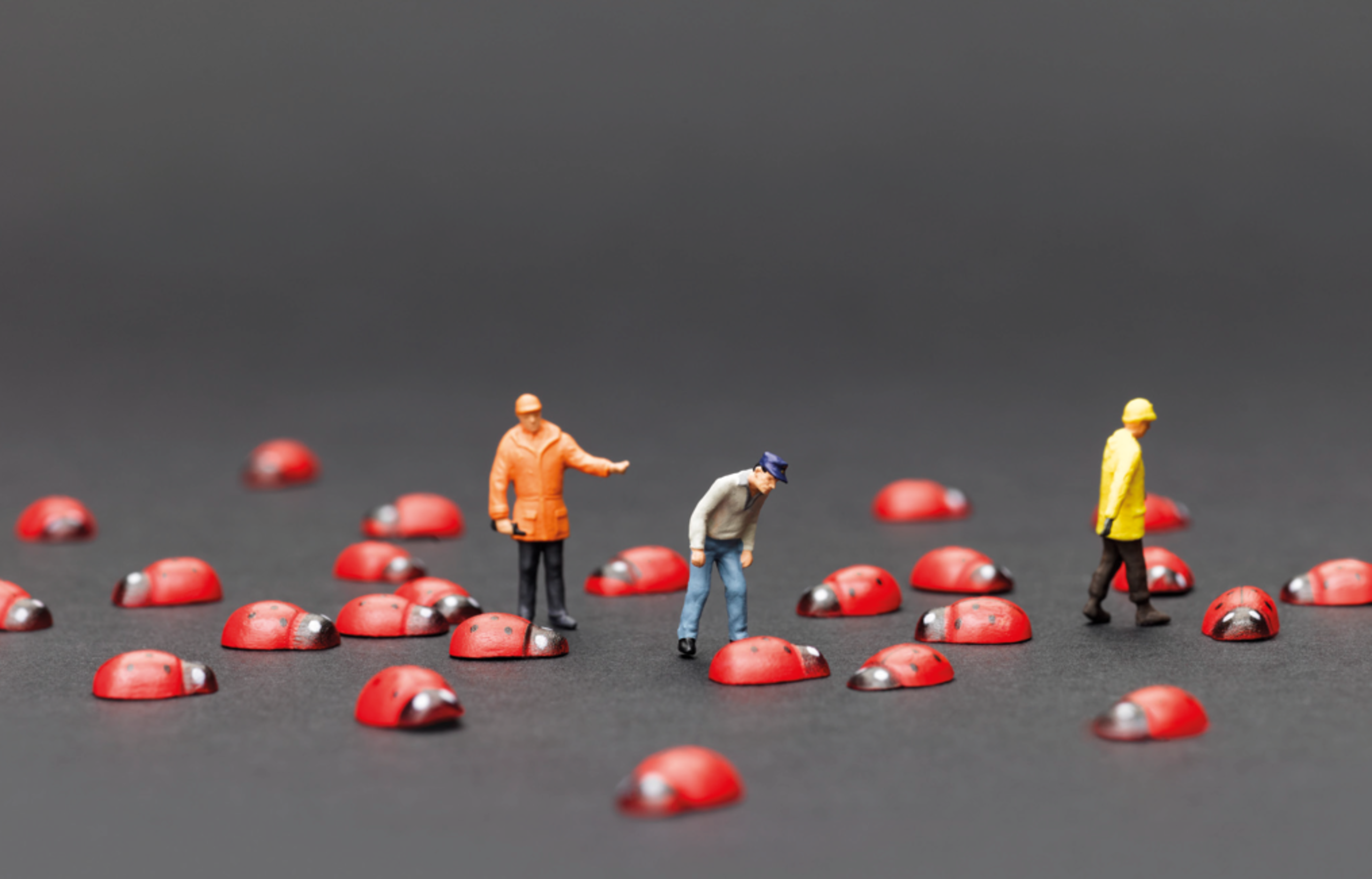 amasol miniature world with miniature people looking at ladybugs